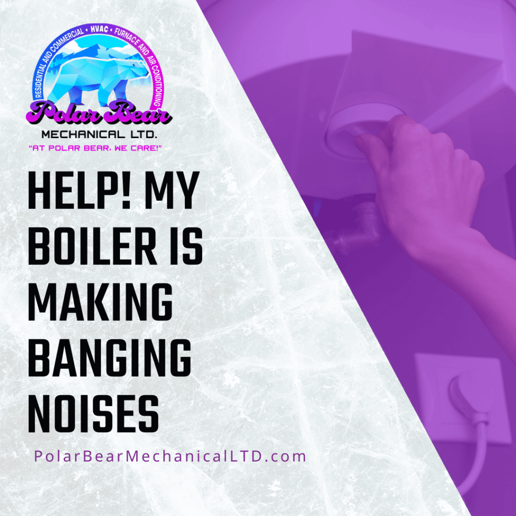 Help! My Boiler is Making Banging Noises Polar Bear Mechanical