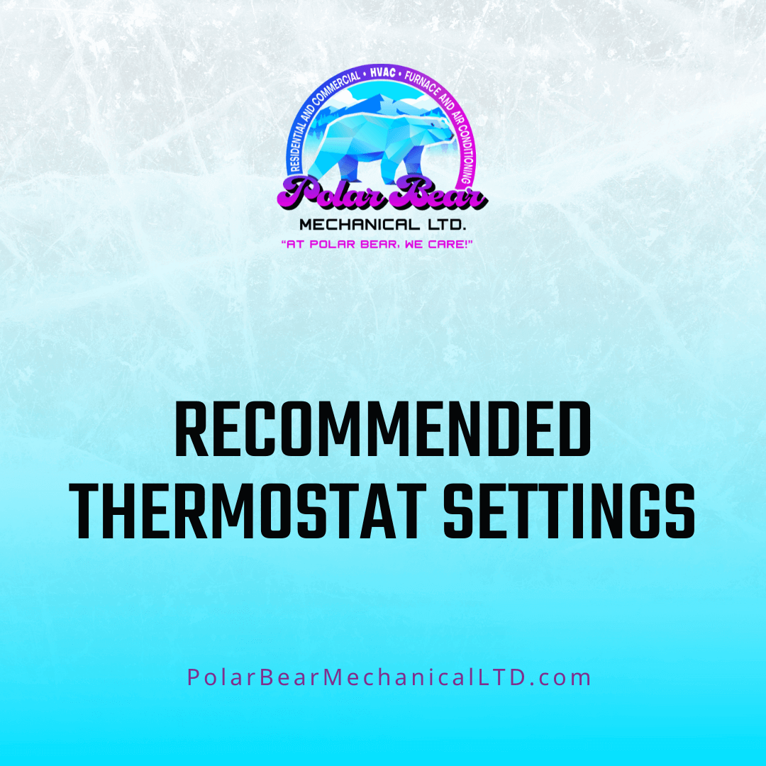 recommended-thermostat-settings-polar-bear-mechanical