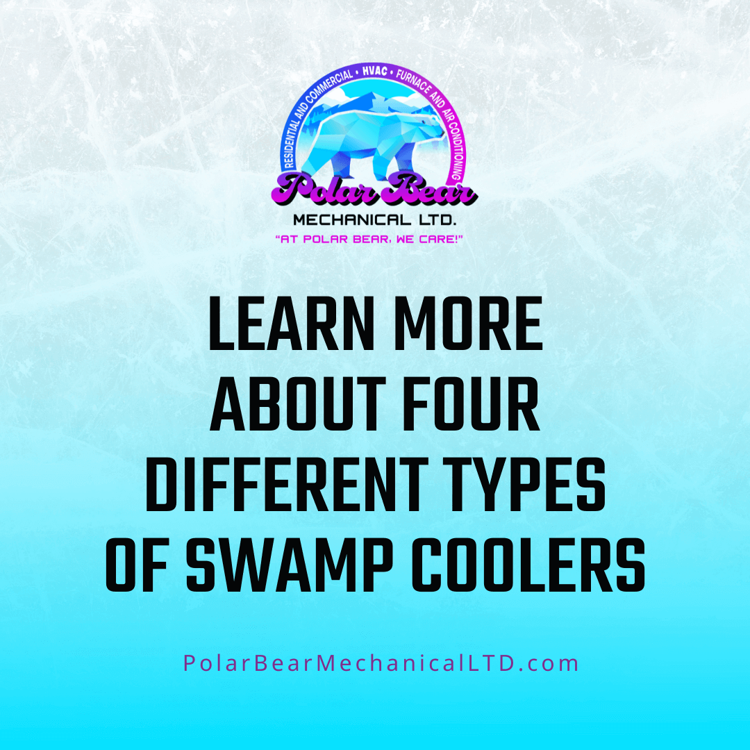 A graphic with blue and white ice as the background and black letters in the center that reads, "Learn More About Four Different Types Of Swamp Coolers."